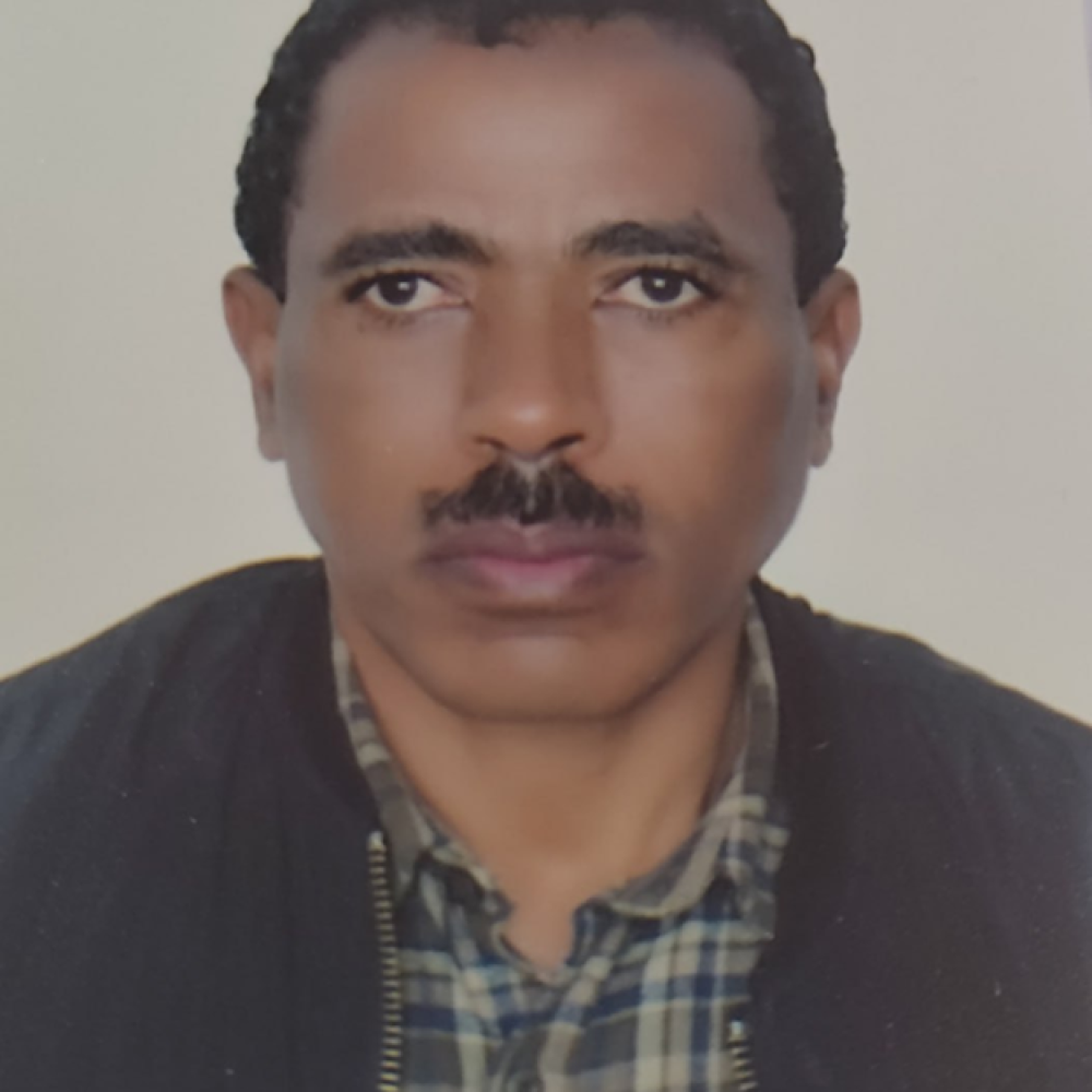 Mohammed Ali Shibeshi